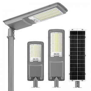 Solar Sensor Light with Motion Sensor for Outdoor and Garden Use Including Waterproof Stake and Strip Lights