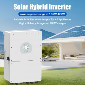 Integrated MPPT Charger Hybrid Solar Inverter Sine Ewave Output DC48V Inverter for Home Energy Storage Esystem