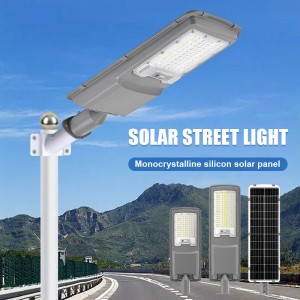 Solar Sensor Light with Motion Sensor for Outdoor and Garden Use Including Waterproof Stake and Strip Lights