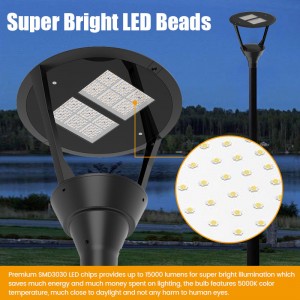 High Quality Factory Die Casting Ip66 100W Led Garden Lights Post Top Garden Led