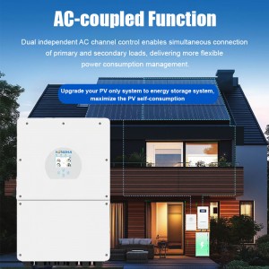 Integrated MPPT Charger Hybrid Solar Inverter Sine Ewave Output DC48V Inverter for Home Energy Storage Esystem