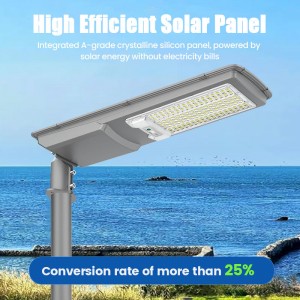 Solar Sensor Light with Motion Sensor for Outdoor and Garden Use Including Waterproof Stake and Strip Lights