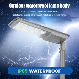 Solar Sensor Light with Motion Sensor for Outdoor and Garden Use Including Waterproof Stake and Strip Lights