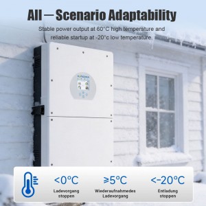 Integrated MPPT Charger Hybrid Solar Inverter Sine Ewave Output DC48V Inverter for Home Energy Storage Esystem