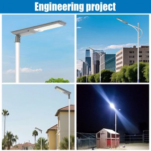 Solar Sensor Light with Motion Sensor for Outdoor and Garden Use Including Waterproof Stake and Strip Lights