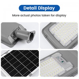 Solar Sensor Light with Motion Sensor for Outdoor and Garden Use Including Waterproof Stake and Strip Lights