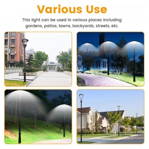 High Quality Factory Die Casting Ip66 100W Led Garden Lights Post Top Garden Led